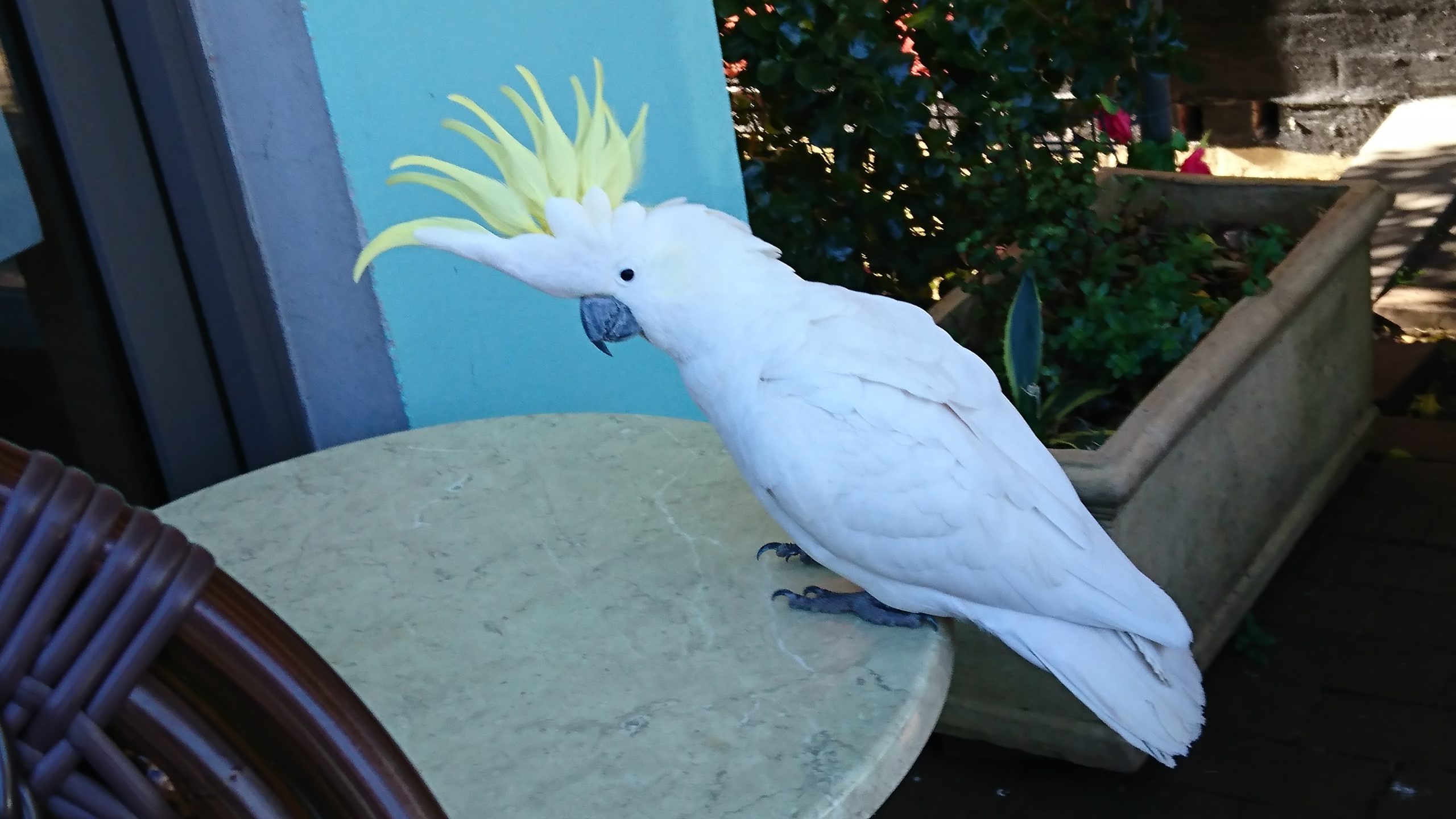 Ceci est un premier test d&rsquo;article