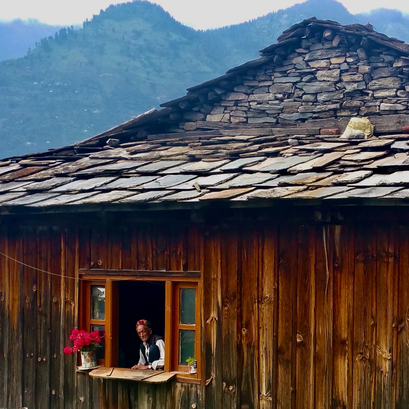 Catégories et Etiquettes …